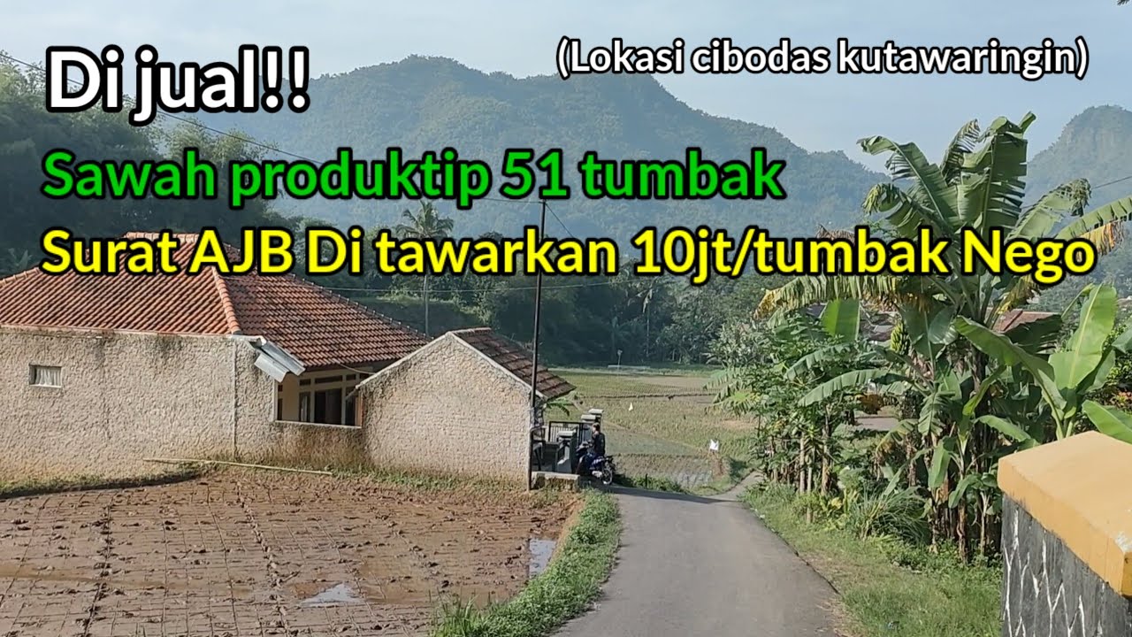 Kampung Ci Baruang Yang Sejuk Ada Sawah 51tumbak Mau Dijual Murah saja Harga Nego