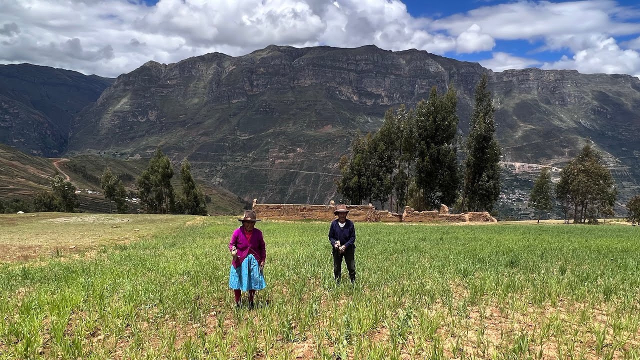 Llegué a Los Pueblos más Alejados de Áncash / Ruta Desde Llamellin a San Nicolas