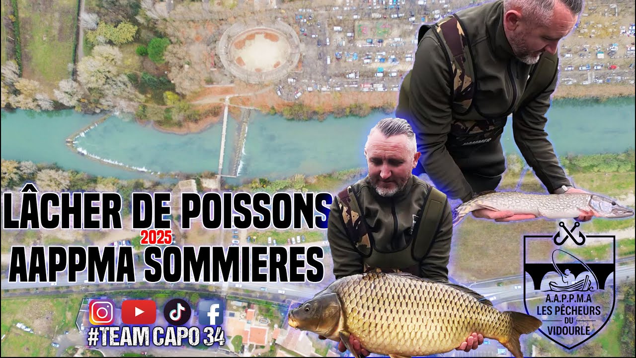 Lâcher de poisson 2025 // AAPPMA Sommières // Carpe Brochet Sandre // Team capo 34
