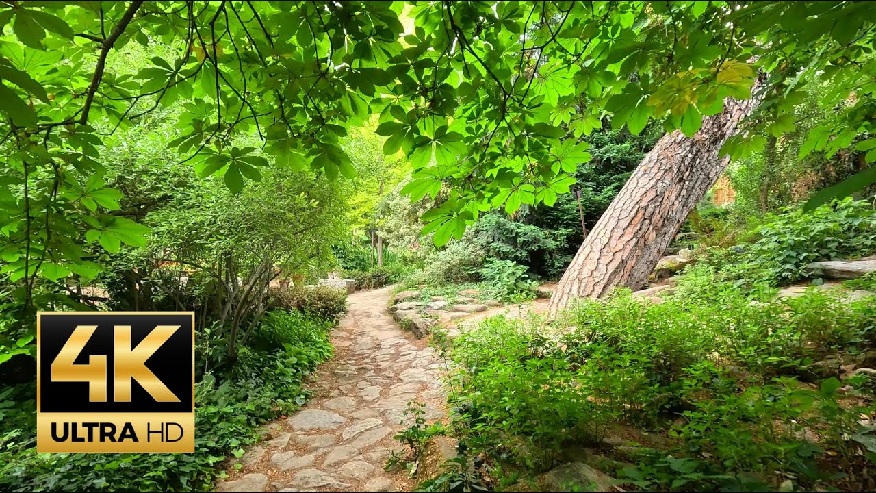 🌿 The Secrecy of Madrid's Botanical Garden: Unlocking Hidden Bonsai & Rare Plants
