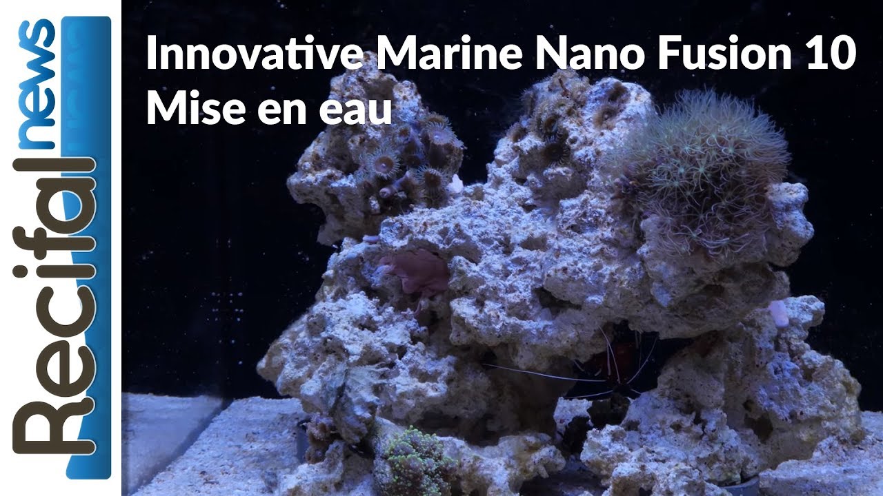 Innovative Marine Fusion Nano 10 : mise en route