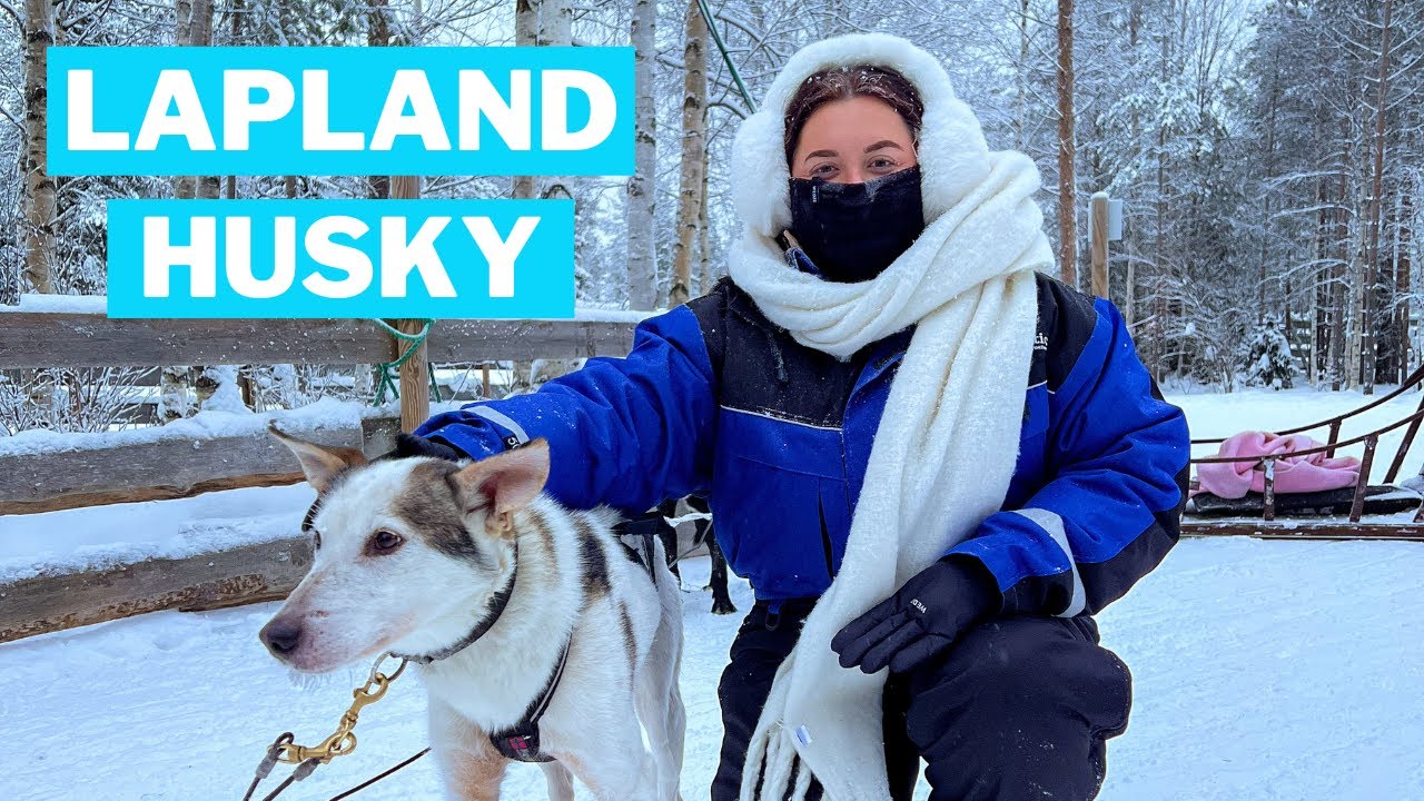 Things to Do in Rovaniemi | HUSKY SLEDDING | Lapland Travel Guide