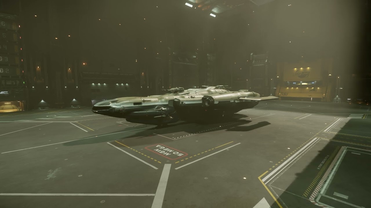 Star Citizen - Landing the Starlancer Max at Area 18