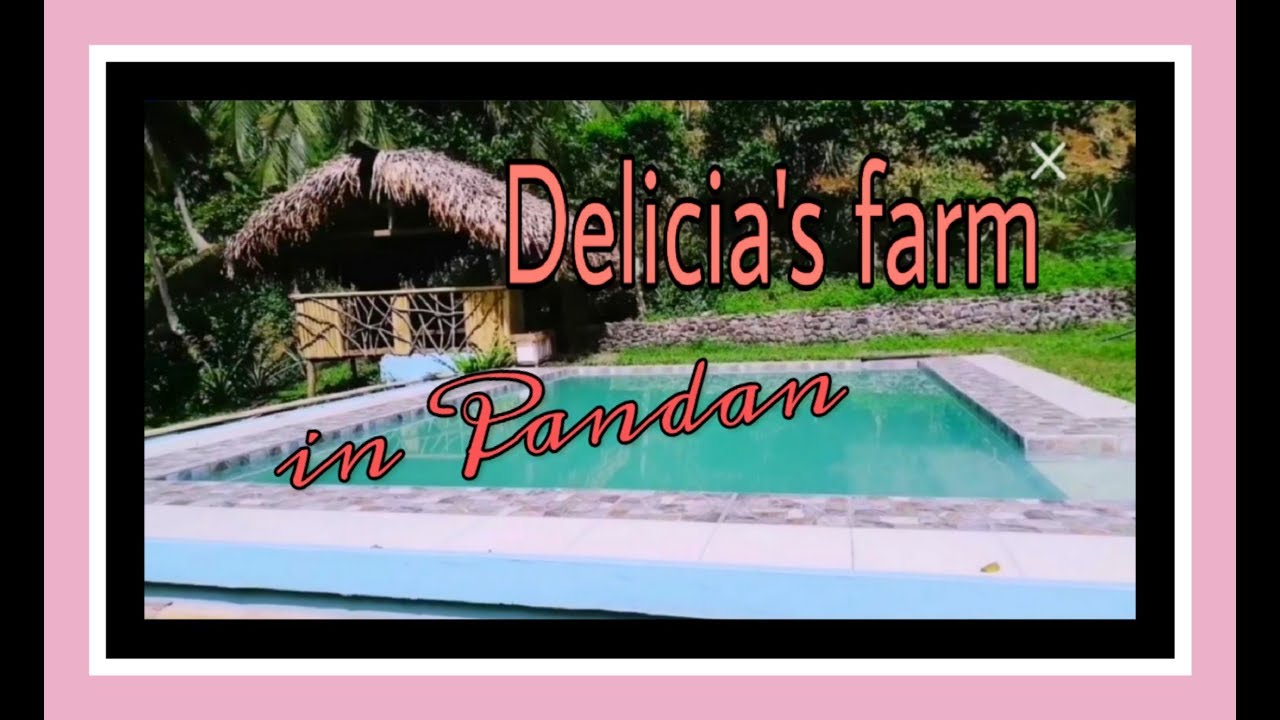 The Delicia's Farm in Pandan Catanduanes (Travelkada#3)