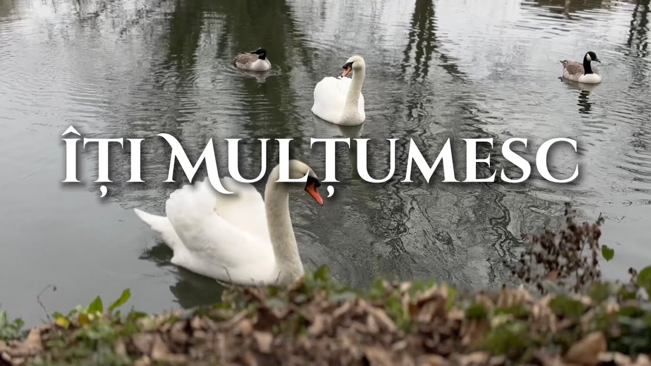Îți mulțumesc - Finias, Ionuț, Aida & Alexandra // Official Music Video