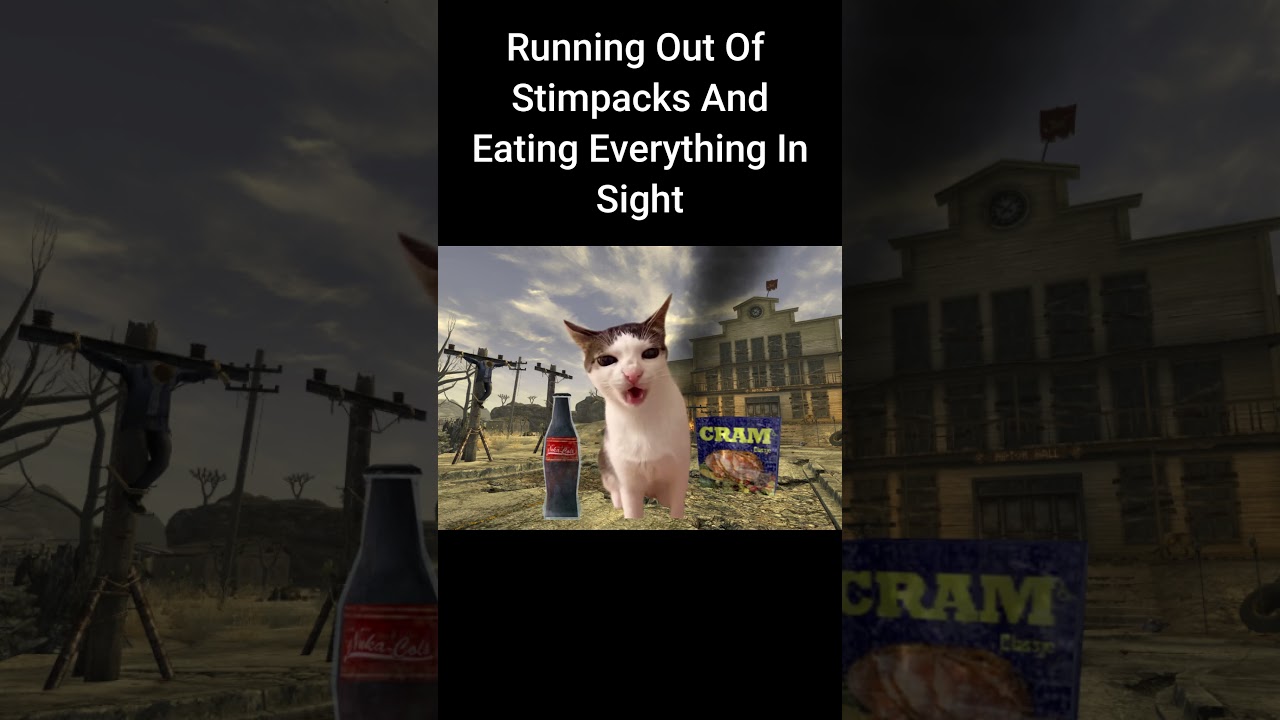 The True Fallout: New Vegas Playthrough Experience