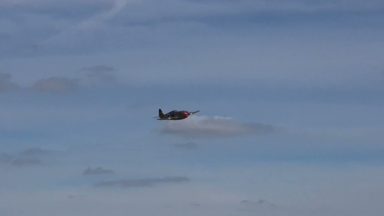 P47 Razorback 2,06 m ( Seagull Model )