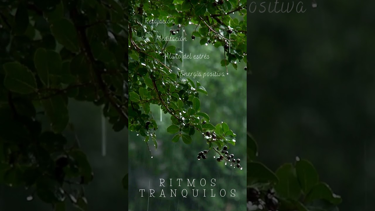 M&uacute;sica relajante y calmante para los nervios - Paz mental #calmamental #musica #m&uacute;sicaparameditar