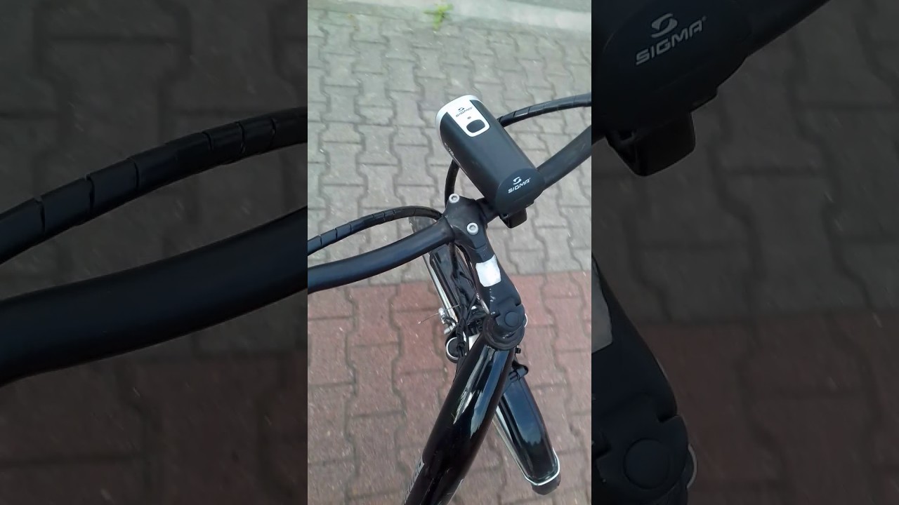 Elektro Rower Prophete