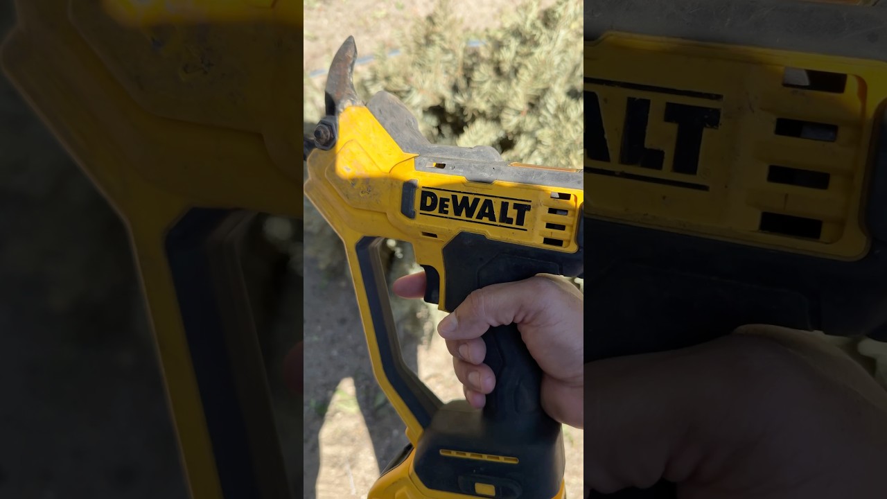 После 5 спилов дерево наконец-то спилили ‼️ #dewalt #дерево #электроинструменты