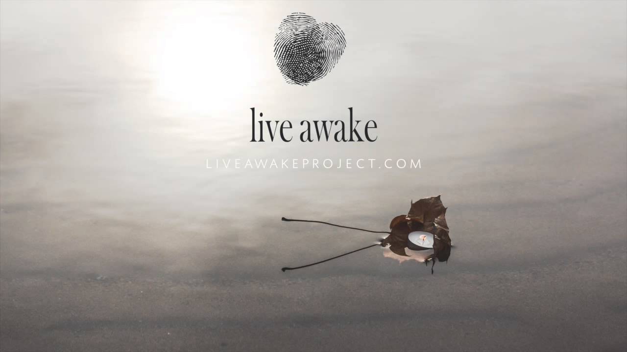 LIVE AWAKE-A LETTER TO THE WOMEN OF THIS WORLD