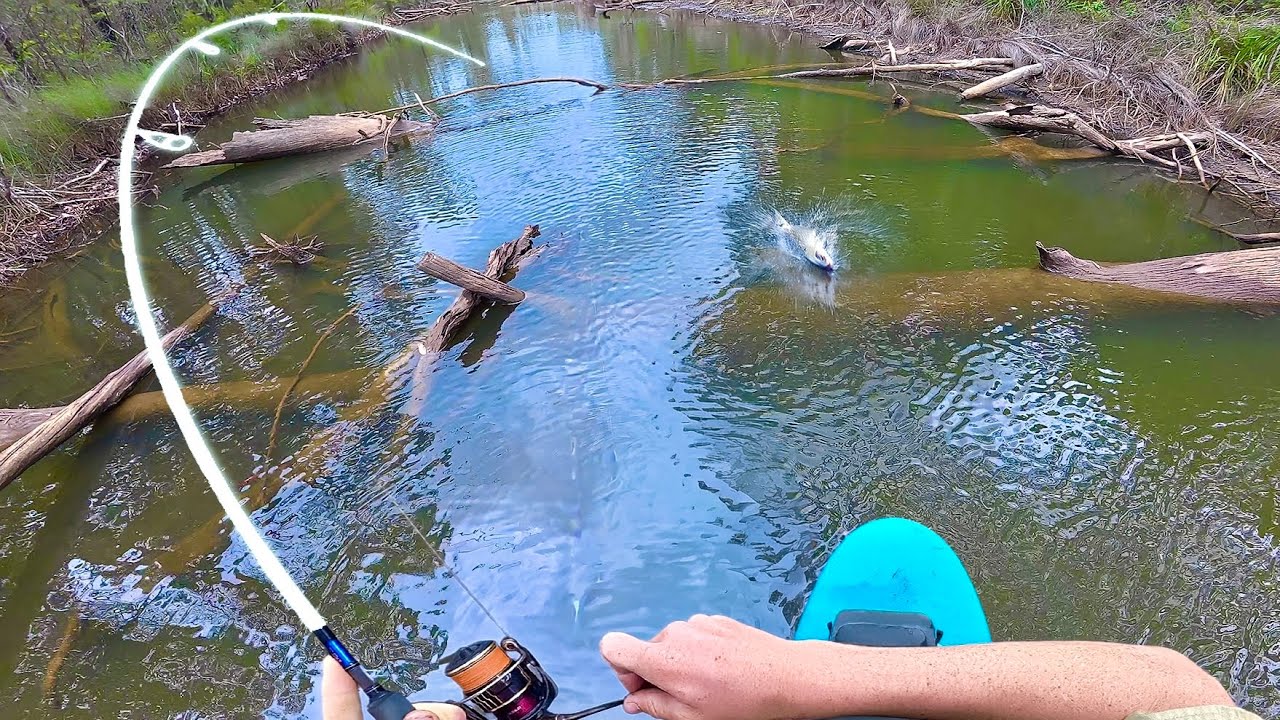 Рыбалка на крошечном водоеме с доски для серфинга!!