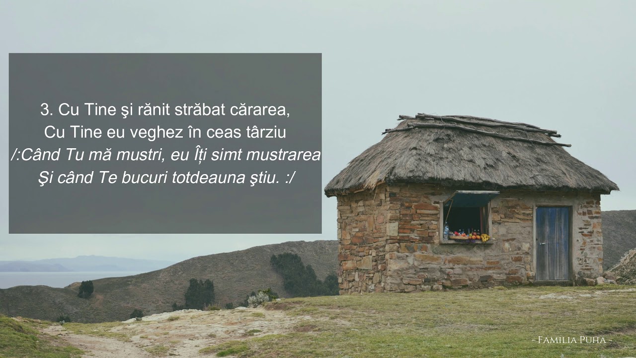Ilie Puha - TU NU PLECI NICIODATĂ DE LA MINE