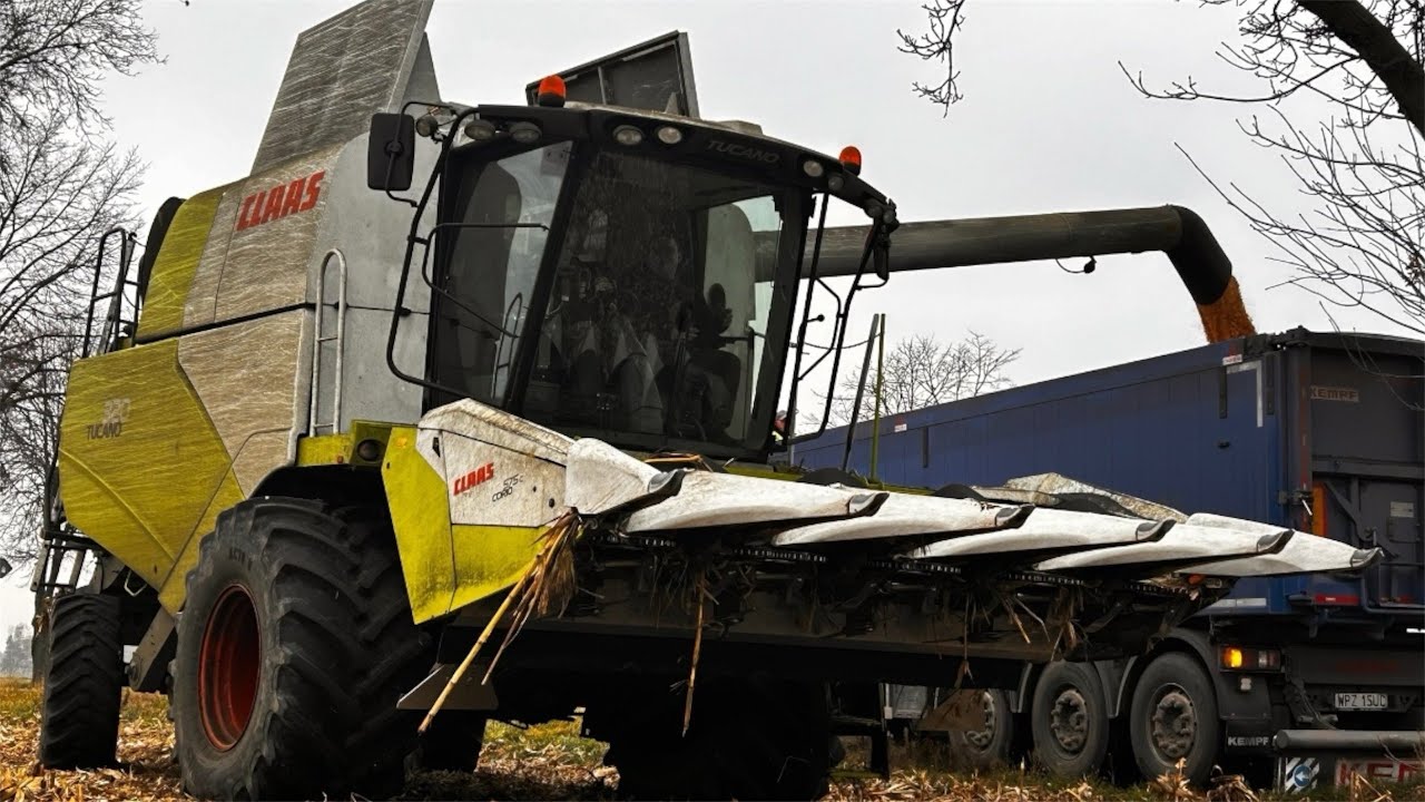 Powrót na YouTube✓Kukurydza na ziarno 2025✓Claas Tucano 320 ✓UR.Tomasz Konieckowicz🔥🚨KUBIK™️