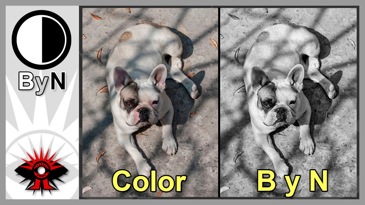01 - ¿Capturar en color o blanco y negro?