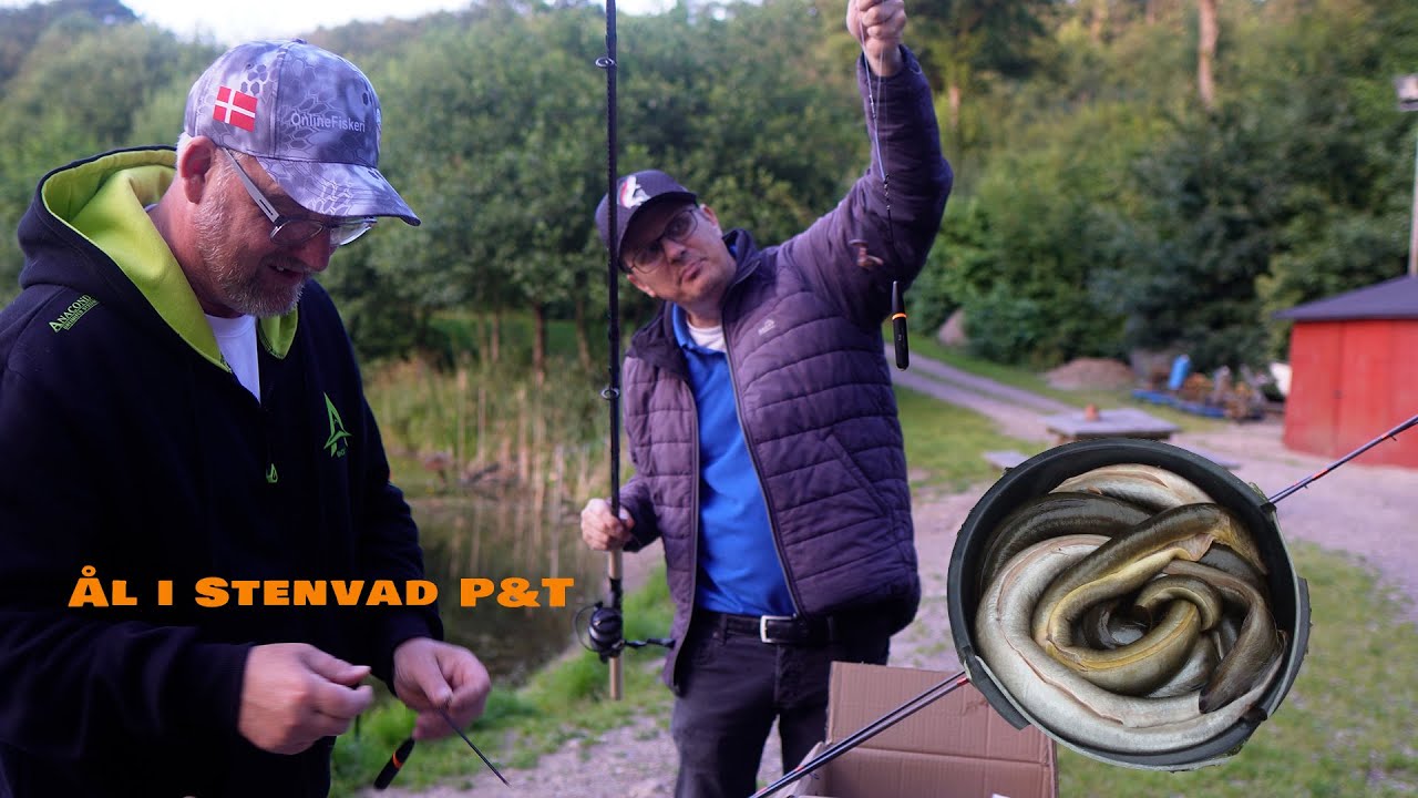 Ålefiskeri - vi fanger mange ål i Stenvad P&T