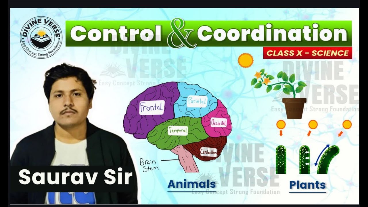 Control and Coordination – 2nd Part | Class 10 Science | Concept Clear in 1 Video