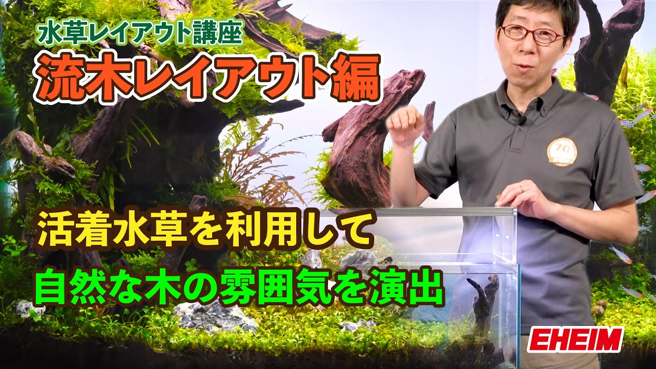 【流木レイアウト編】活着水草を利用して自然な木の雰囲気を演出　【水草水槽】レイアウト講座　エーハイムアンバサダー志藤範行氏
