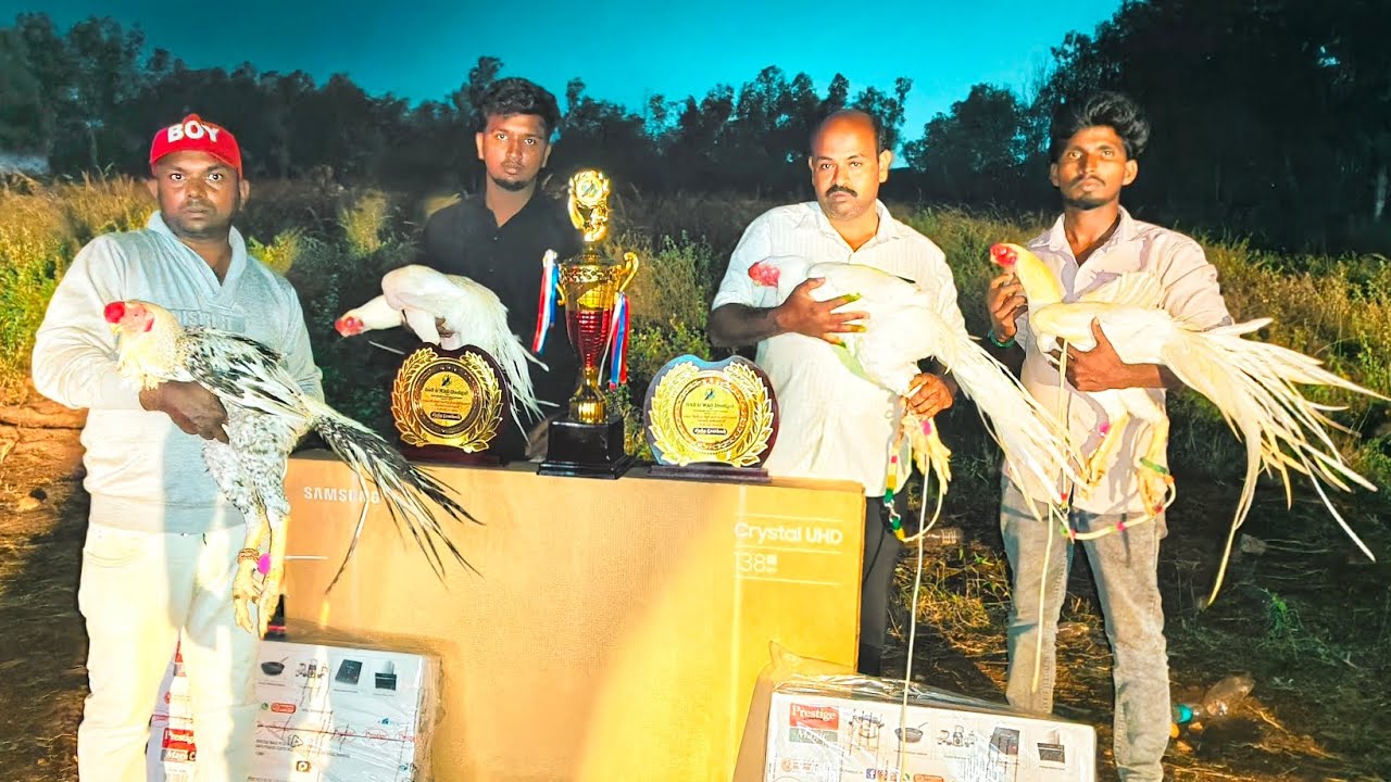 திண்டுக்கல்லில் 🌍 நடைபெற்ற 11 ஆம் ஆண்டு 🐔கிளிமூக்கு விசிறிவால் ❤️‍🔥சேவல் 🏆கண்காட்சி 🏆 2026