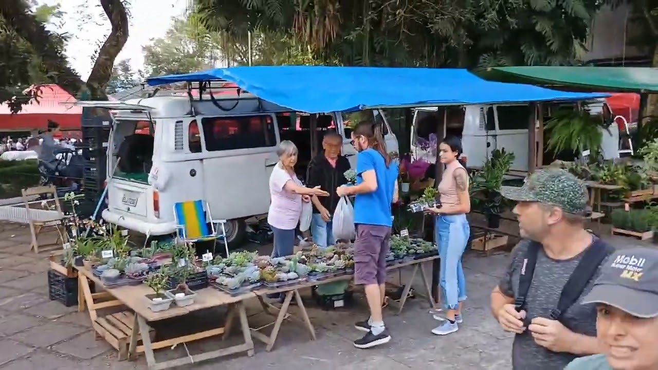 FEIRA DO VERDE E ARTESANATO - RIACHO GRANDE : SÃO BERNADO DO CAMPO - SP