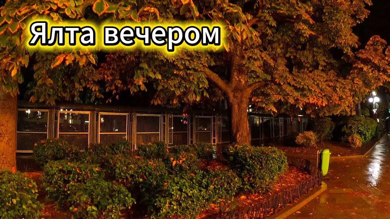 ▶️ Ялта вечером.Набережная .Собаки 13 ноября 2025