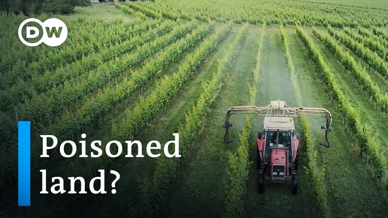 Is Parkinson's disease related to pesticide use? | DW Documentary