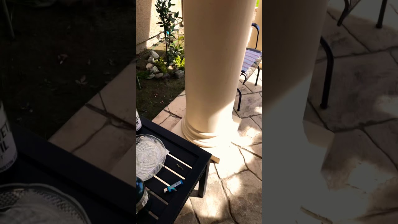 KingPalms 👑🌴👌🔥😜💨💨💨