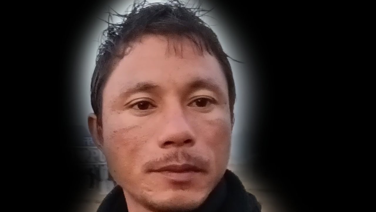 hy hy