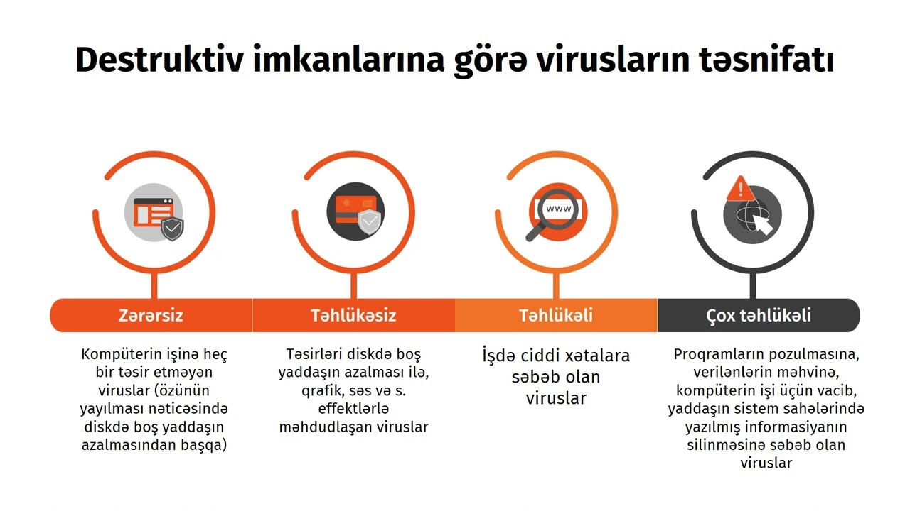 7 Viruslar Haqqında