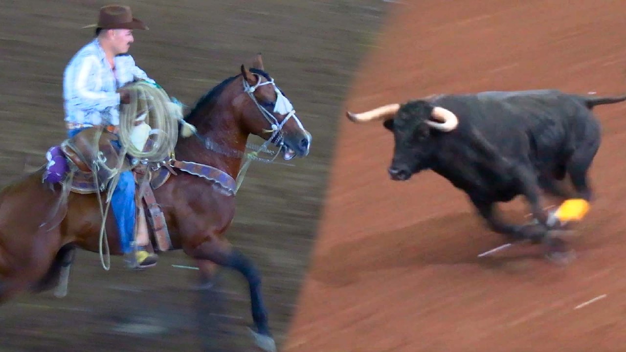 ! TOROS BRAVOS BUSCA CABALLOS ¡ JARIPEO EN PURUANDIRO MICHOACAN 24 DE AGOSTO DEL 2025