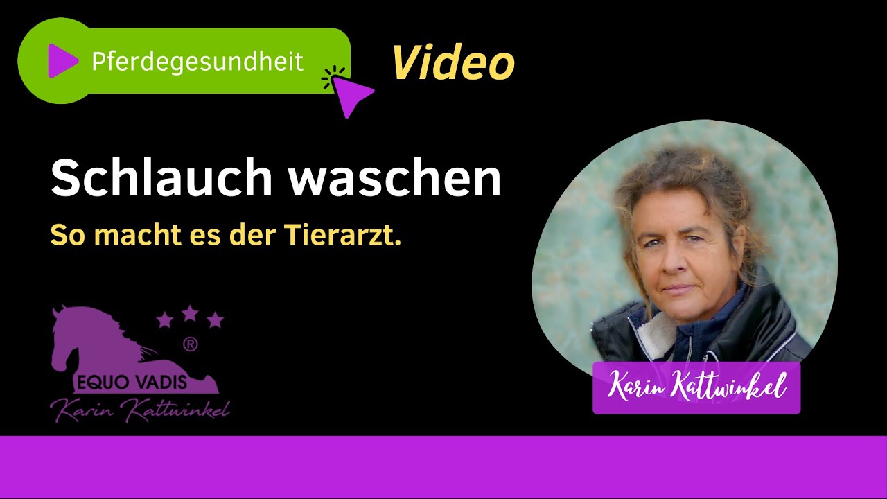 Schlauch waschen | Pferdegesundheit | Karin Kattwinkel