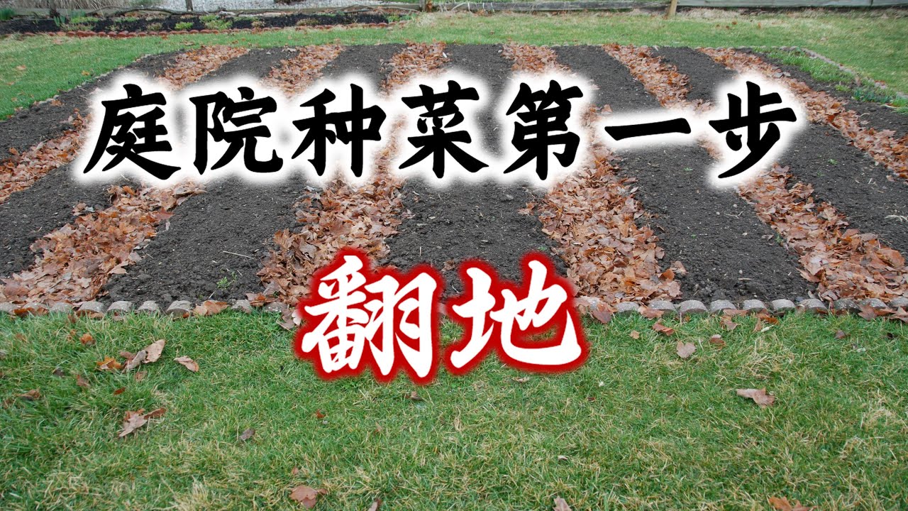 春天种菜第一步：翻地