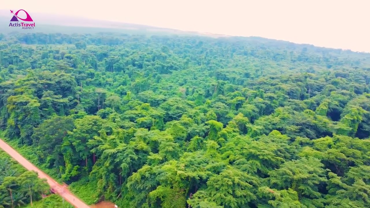 La r&eacute;serve naturelle de Kigwena