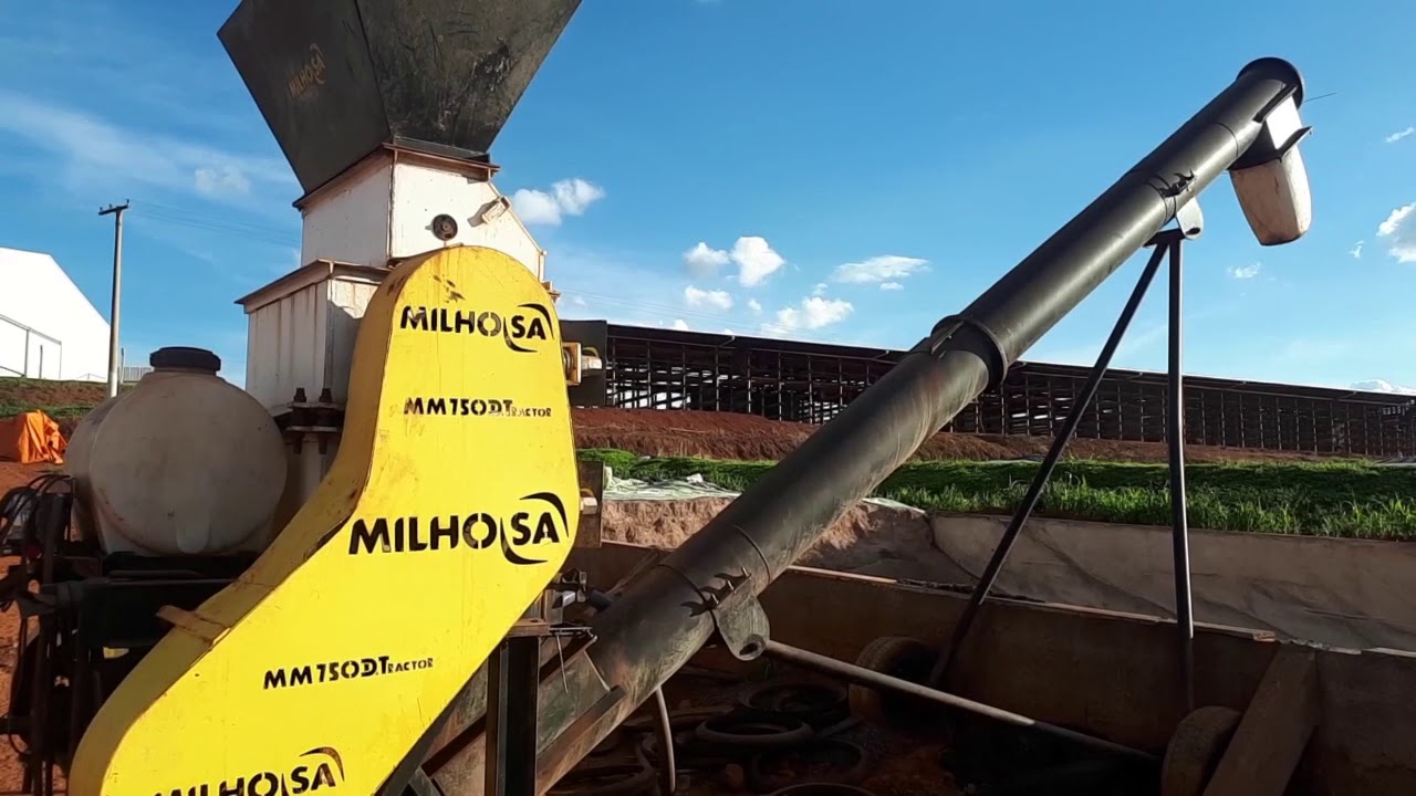 Sorgo Reidratado - Alternativa Para Reduzir o Custo da @ Produzida no Confinamento