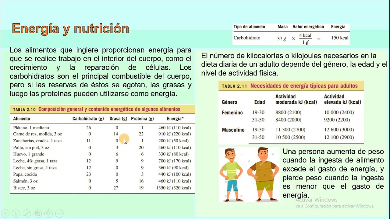 Como calcular la energía de los alimentos Kcal (información nutricional y guia de alimentos)