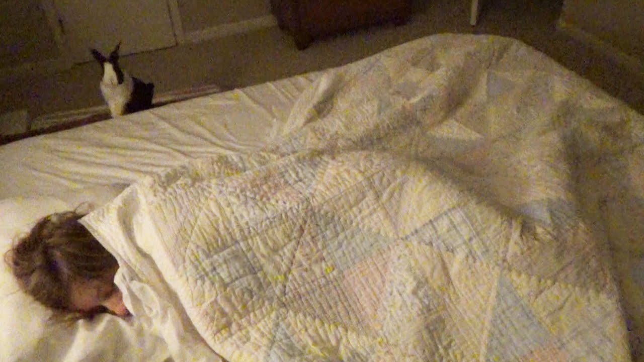 Rabbit wakes up sleeping owner!