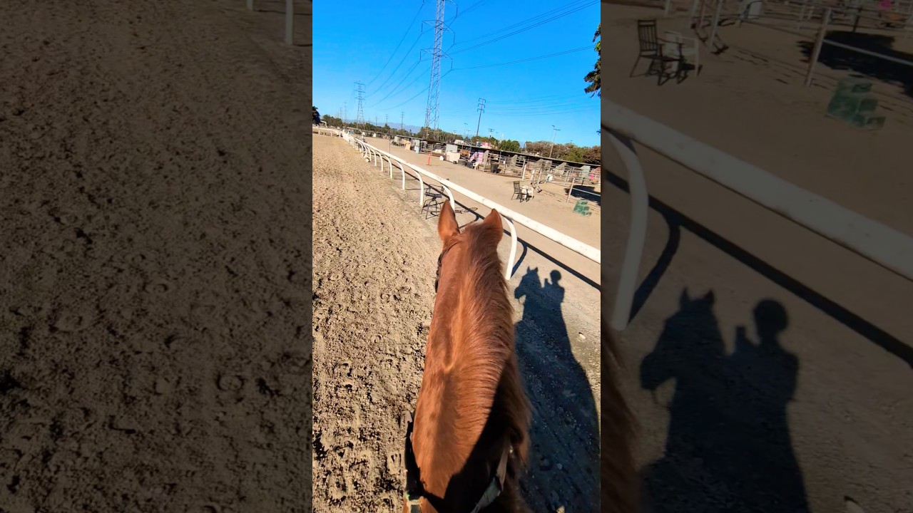 love getting extra practice on the ponies!