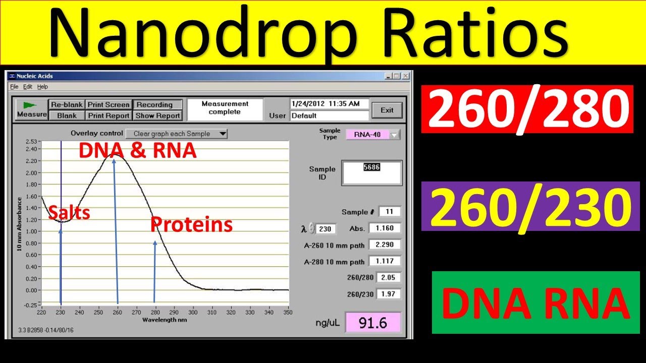 Nanodrop Ratios Explained | 260/280 ratio DNA | 260/280 ratio RNA | 260/230 Ratio | Qunatification |