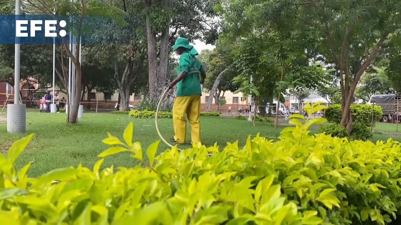 Venezolanos en Bogotá: trabajo y estabilidad frente a un futuro incierto