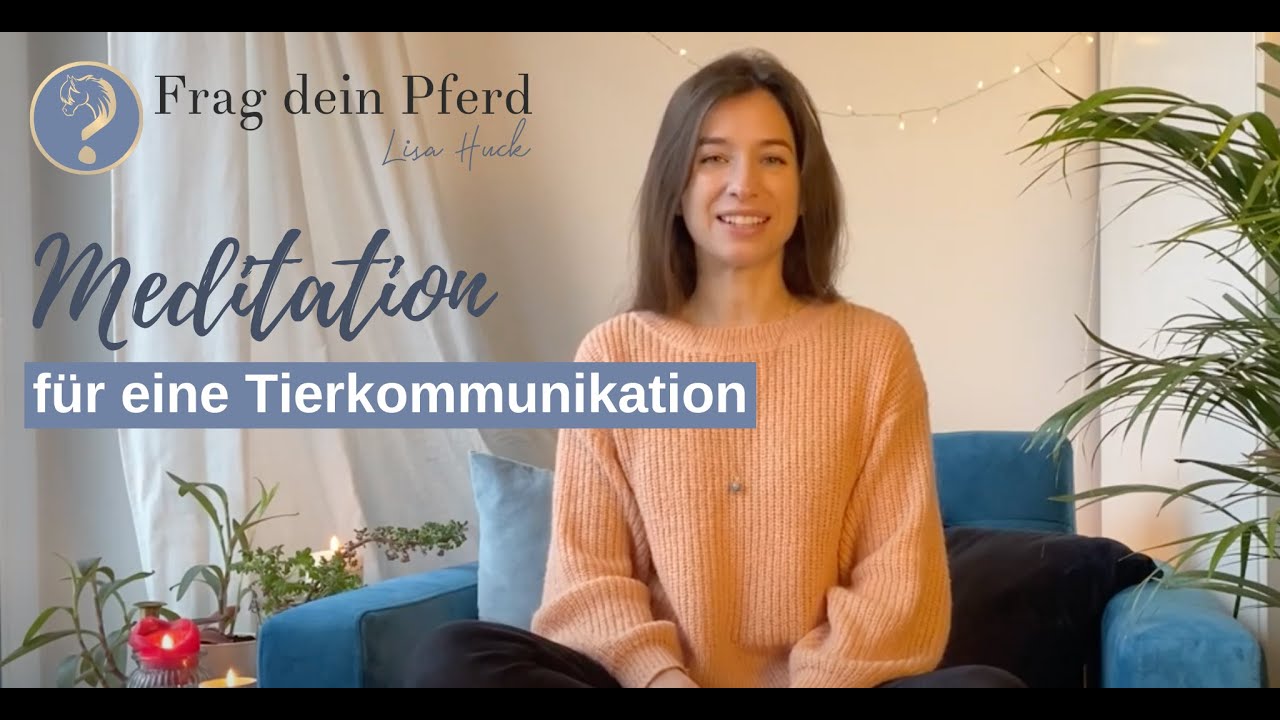 Meditation Tierkommunikation - Gespräch mit Deinem Tier | 15 Minuten |