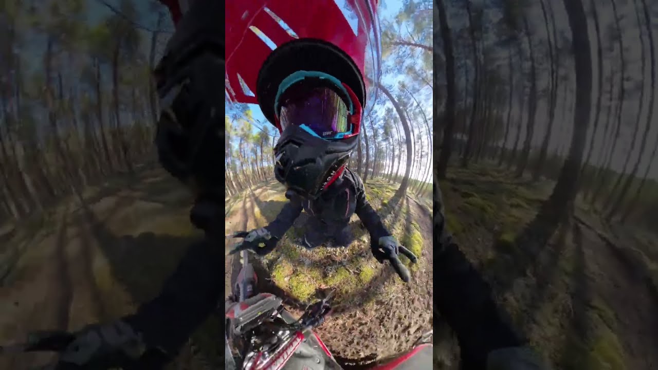Africa Twin forest sprint