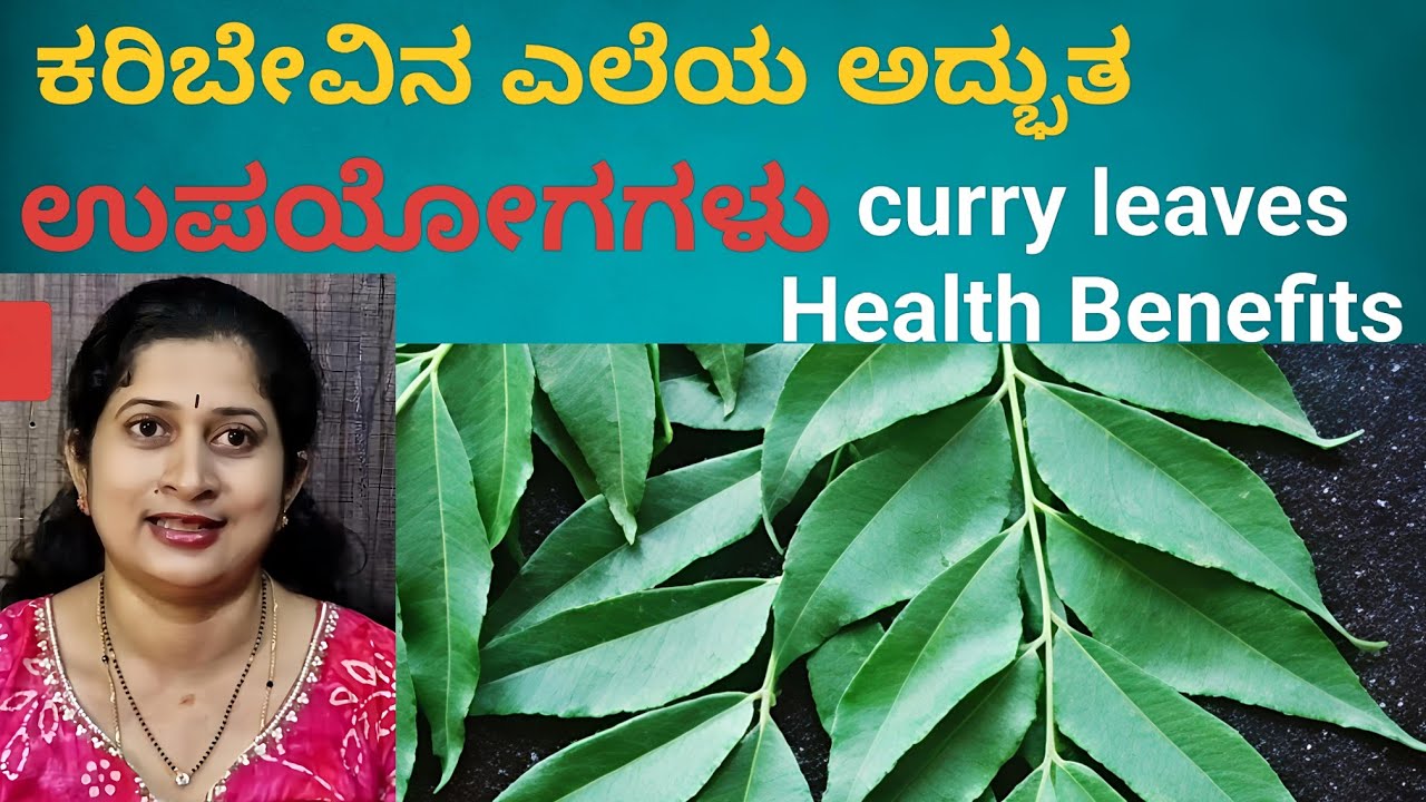 ಕರಿಬೇವಿನ ಎಲೆಯ ಅದ್ಭುತ ಉಪಯೋಗಗಳು curry Leaves health benefits