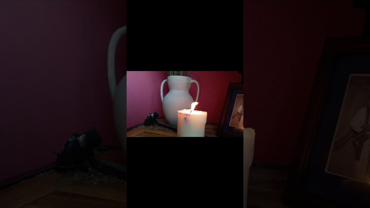 Candlelight ASMR – Episode 3 | Daylight Flame & Quiet Morning Ambience