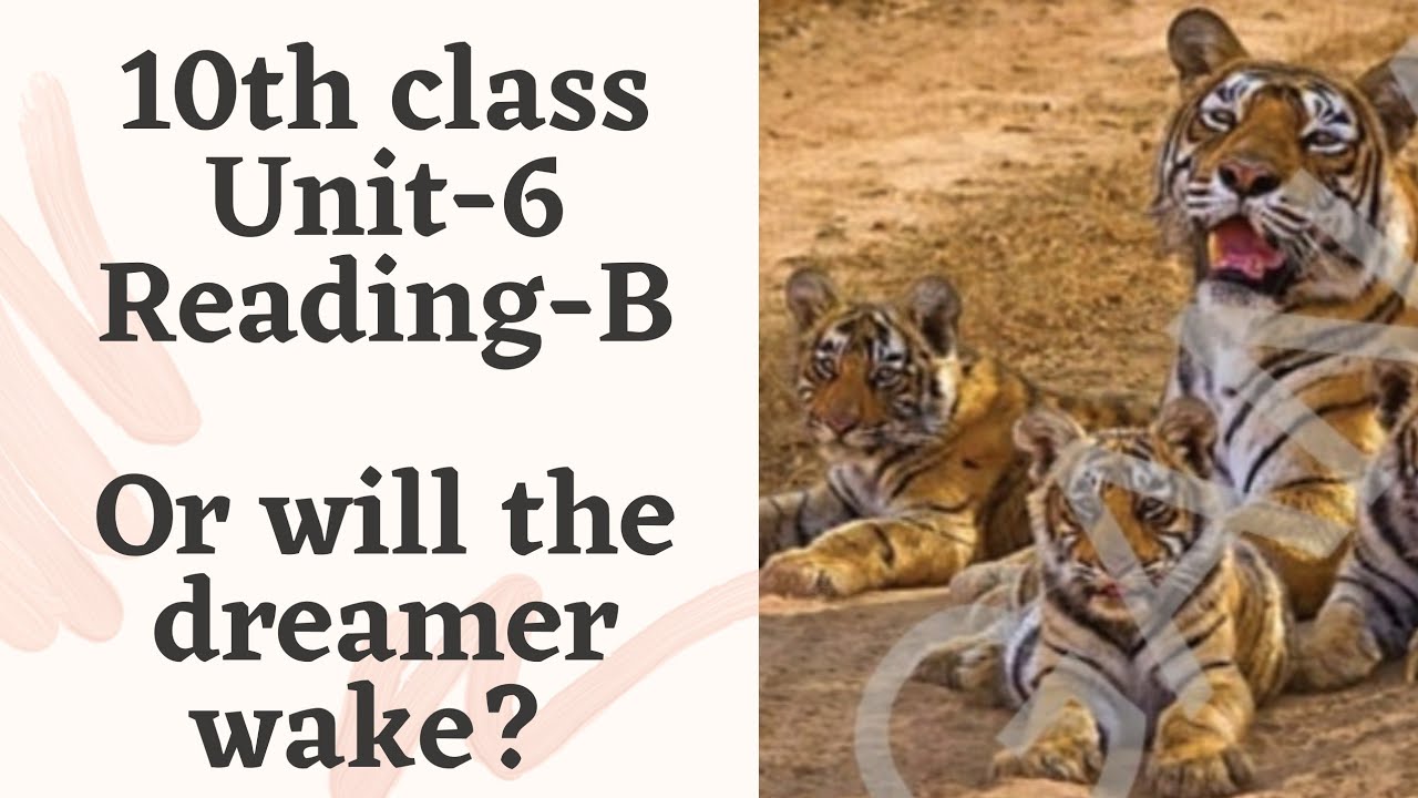 Or Will the Dreamer Wake?  ||  10th Class  ||  Unit-6  ||  Reading-B