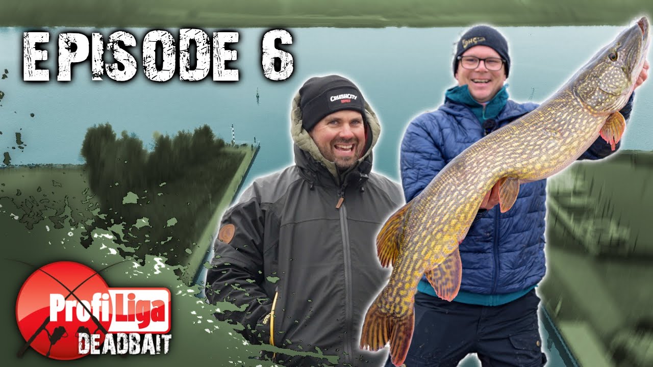 Biss auf Biss kurz vor Abpfiff! 🔴 Profi Liga Deadbait Finale, Episode 6