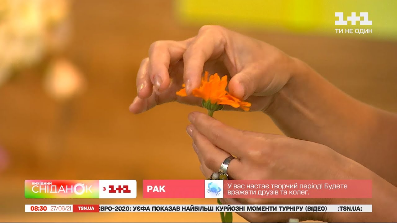 Как правильно собирать и сушить лекарственные и пряные травы