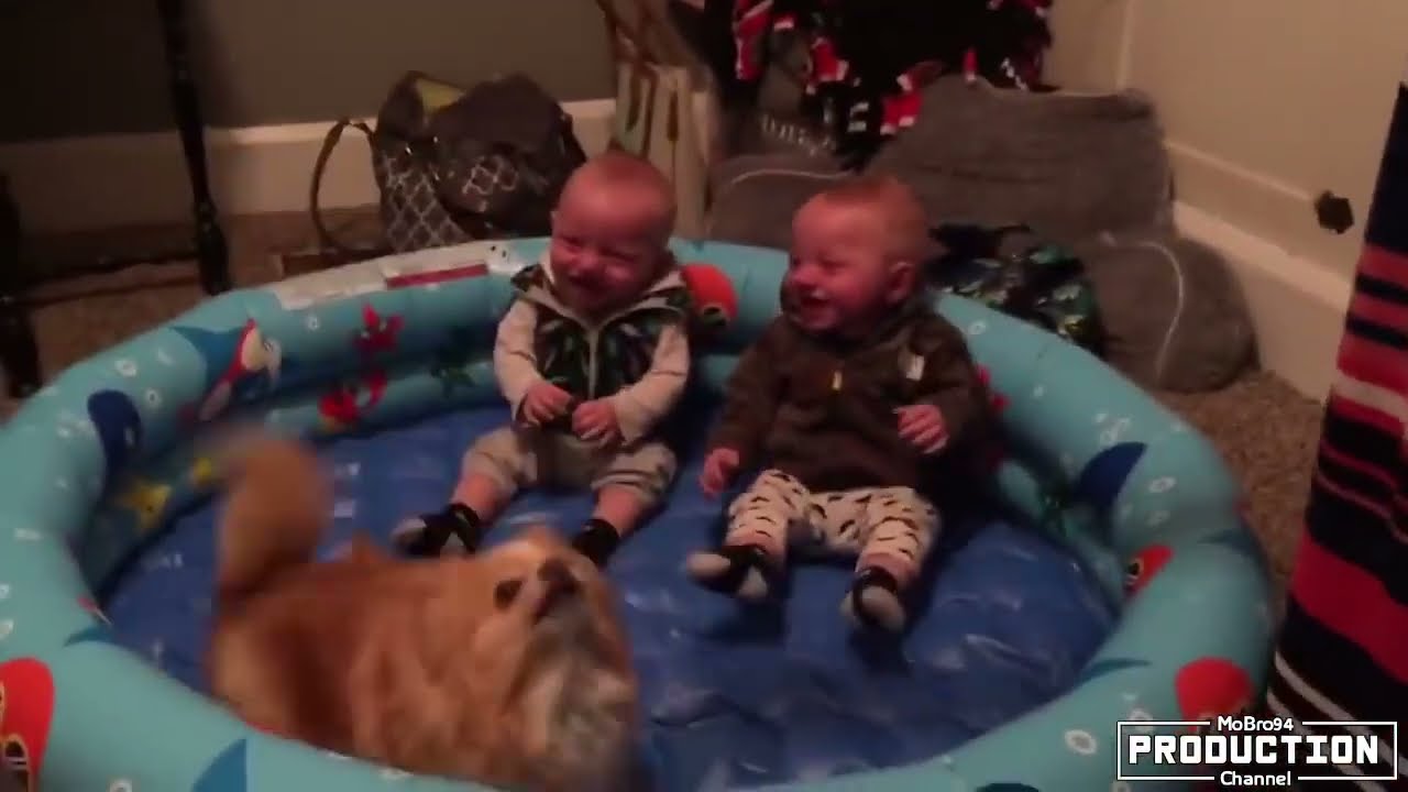 Aranyos macsk&aacute;k &eacute;s kuty&aacute;k szeretik a bab&aacute;k 😂 Cuki bab&aacute;k j&aacute;tszanak a kuty&aacute;kkal &ouml;ssze&aacute;ll&iacute;t&aacute;s