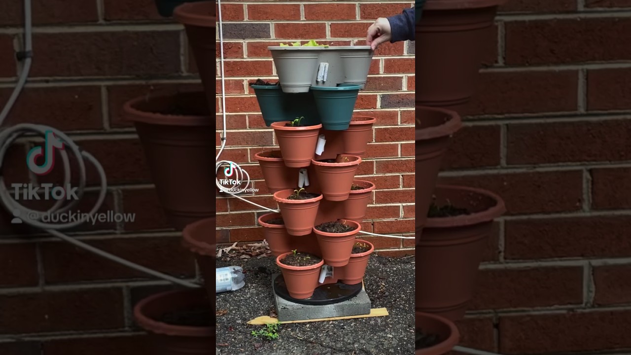 DIY VIRAL DOLLAR TREE PLANTER THAT SPINS