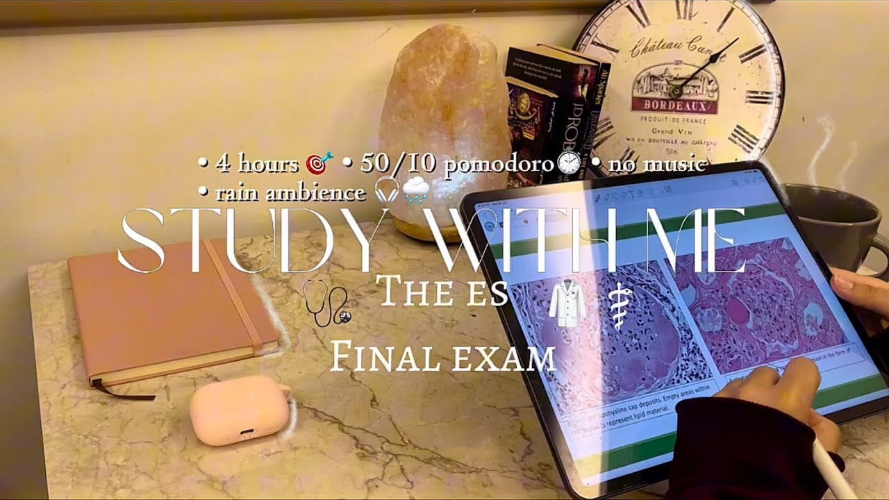 4-HOURS study with me for my final exam 🩺 | 50/10 pomodoro technique - rain ambience 🌧️