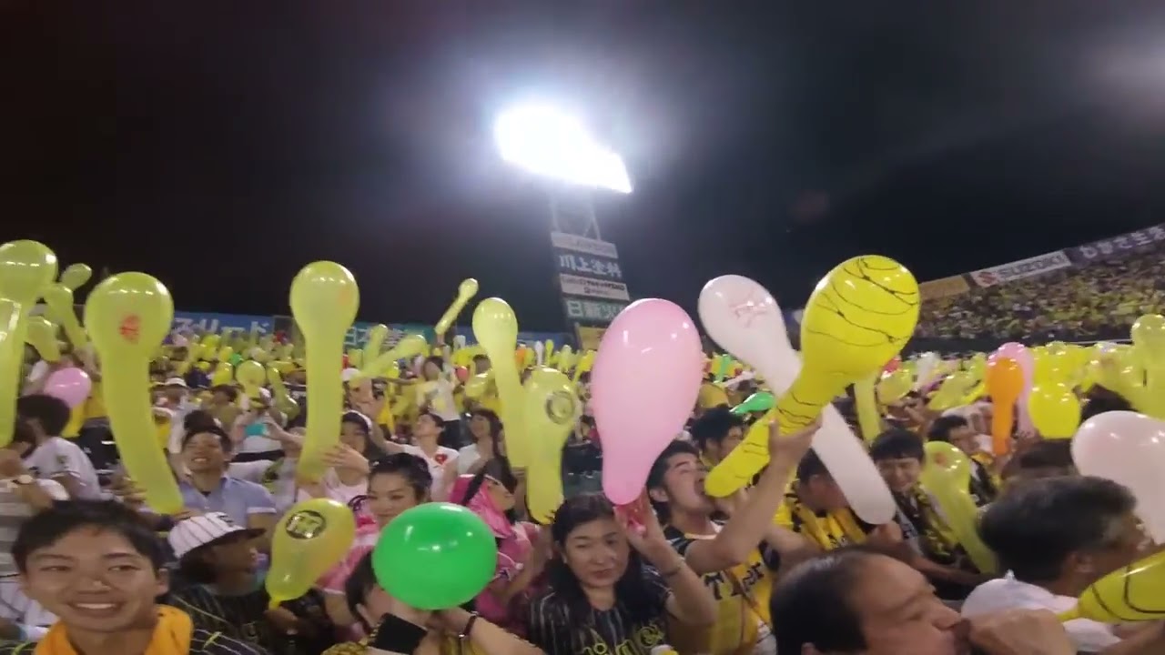 Hanshin Tigers - Koshien Stadium